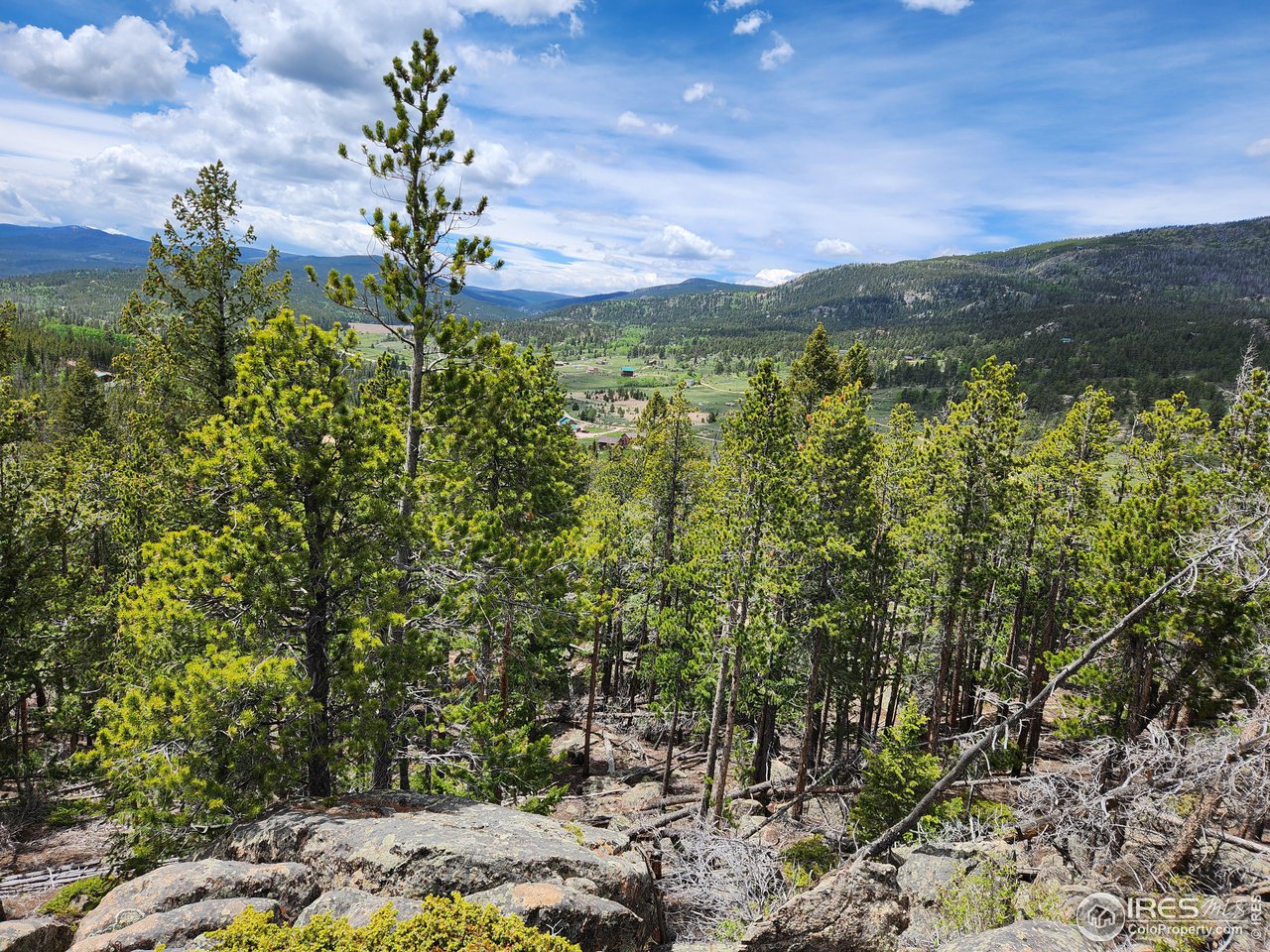 518 Crow Road Red Feather Lakes, CO 80545 - Photo 35 of 35 Gallery Image 35