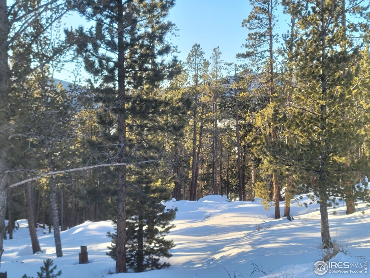 518 Crow Road Red Feather Lakes, CO 80545 - Photo 4 of 35 It's a Winter Wonderland