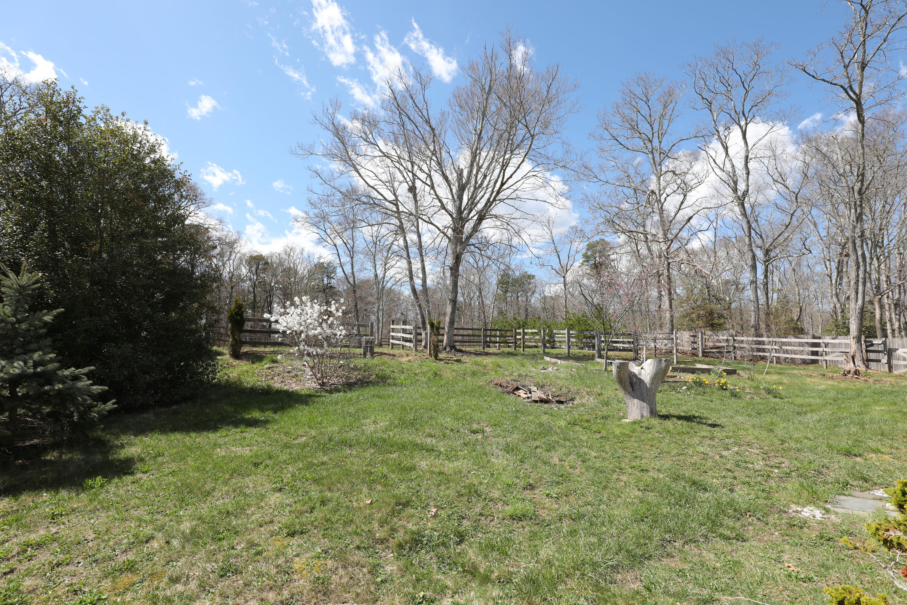 39 Lovell's Lane Mashpee, MA 02649 - Photo 13 of 24 a view of a park with large trees