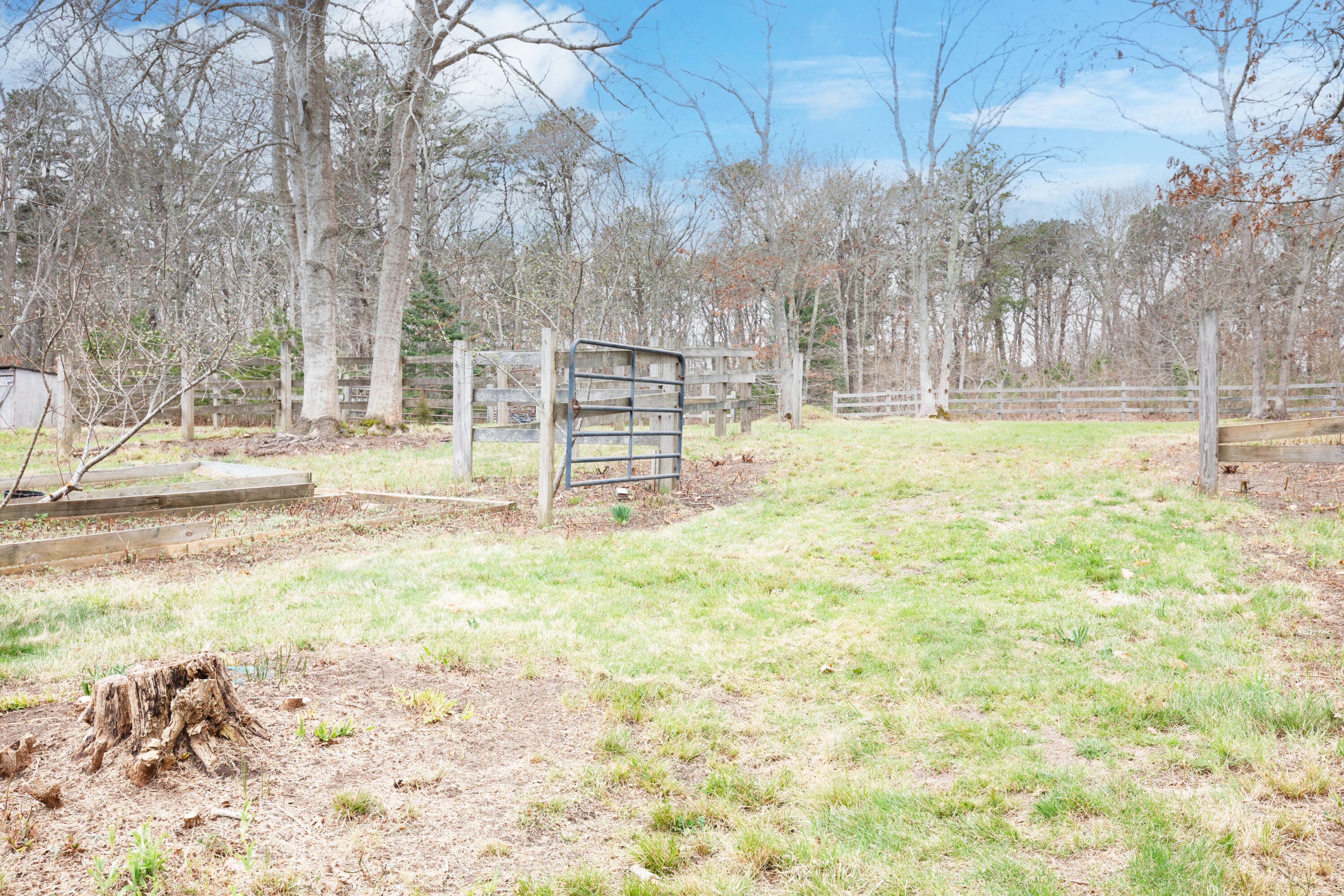39 Lovell's Lane Mashpee, MA 02649 - Photo 15 of 24 39_Lovells_Lane_09_Paddock_04232026