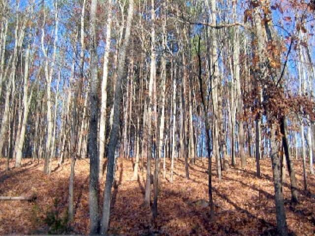 0 Cider Ridge Court Clarkesville, GA 30523 - Photo 1 of 1 a view of outdoor space with lots of trees