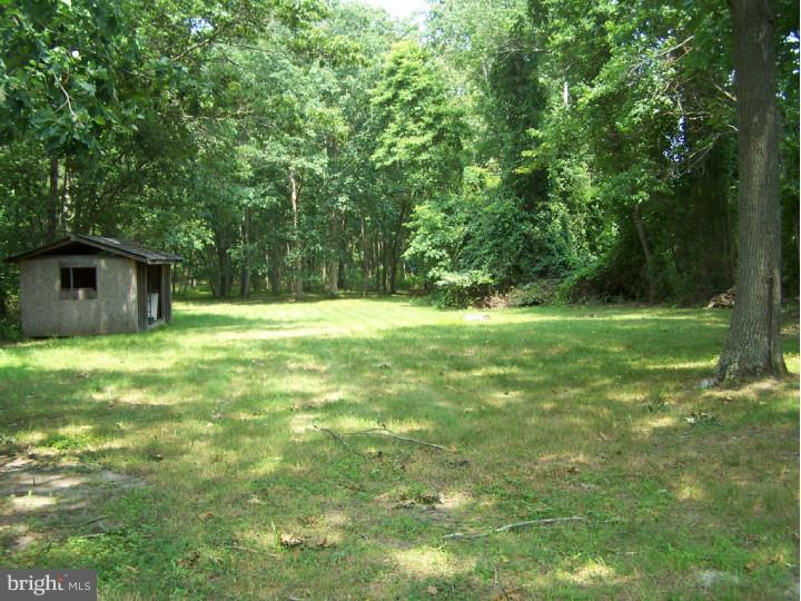 314 Indian Mills Road Shamong, NJ 08088 - Photo 9 of 10 Back Yard