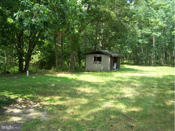 314 Indian Mills Road Shamong, NJ 08088 - Photo 10 of 10 Back Yard