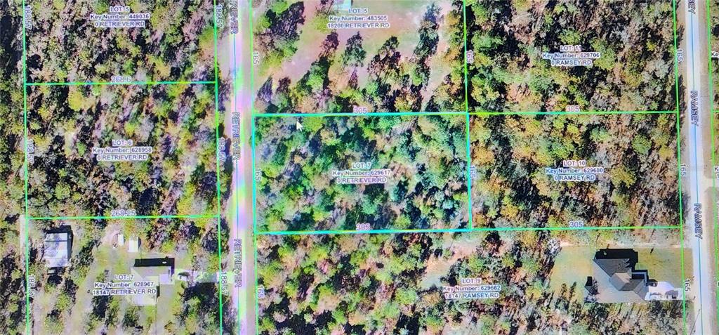 18164 Retriever Road Weeki Wachee, FL 34614 - Photo 4 of 4