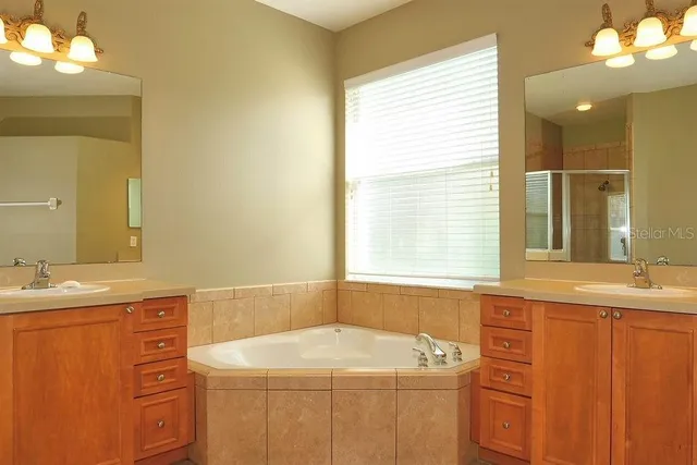 a bathroom with a sink and a bathtub