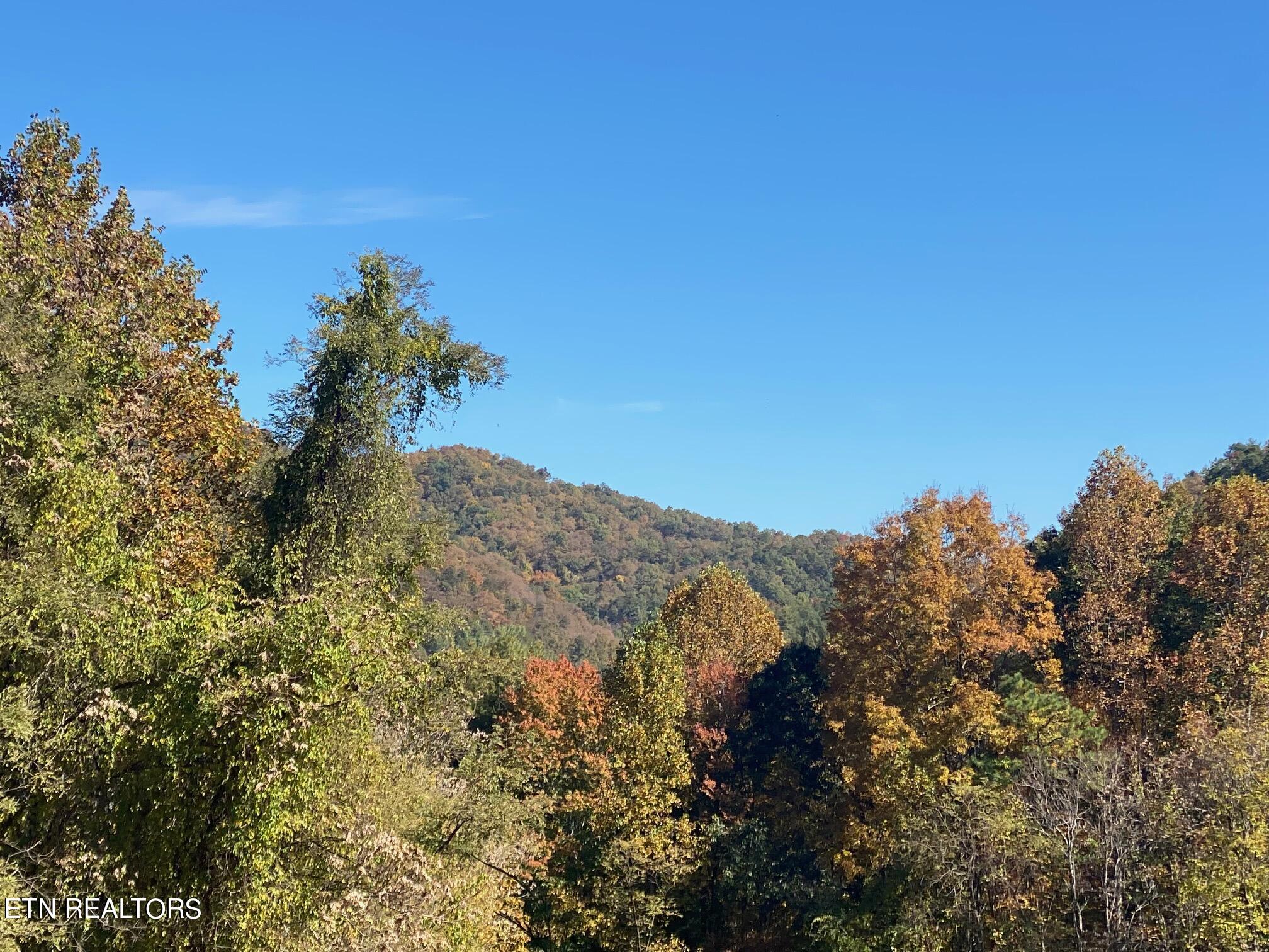 Lot#2 Rocky Creek Road Del Rio, TN 37727 - Photo 1 of 3 IMG_1226