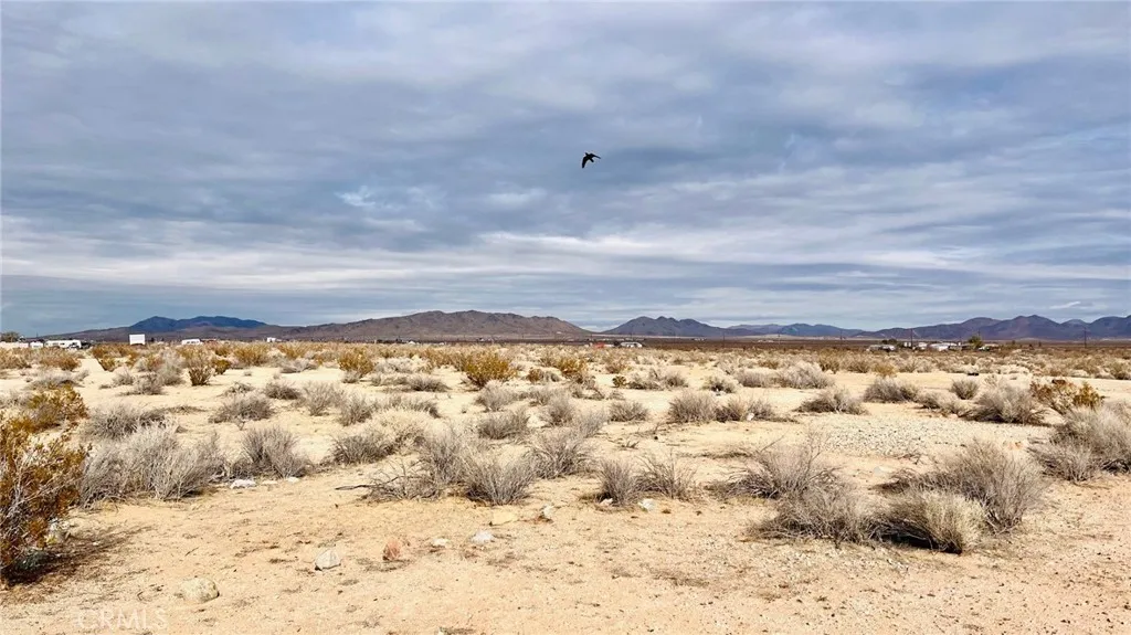 47229227 Harris Road St. Paul, MN 55124 - Photo 24 of 32