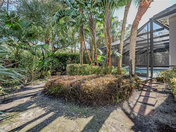 a view of a backyard with plants and large trees