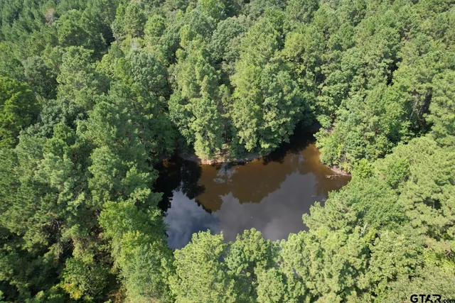 an aerial view of a house with a yard and lake view