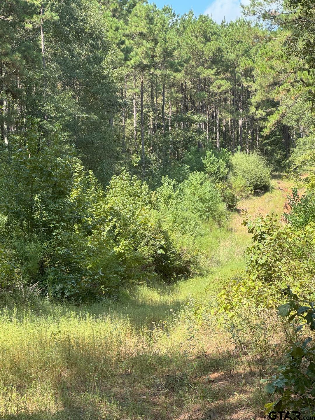 283 County Road 283 Garrison, TX 75946 - Photo 16 of 34 a view of lake