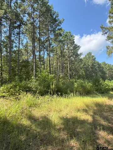 a view of a forest with trees