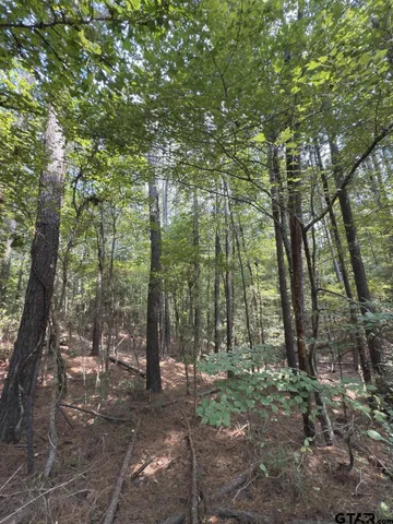 a view of a building