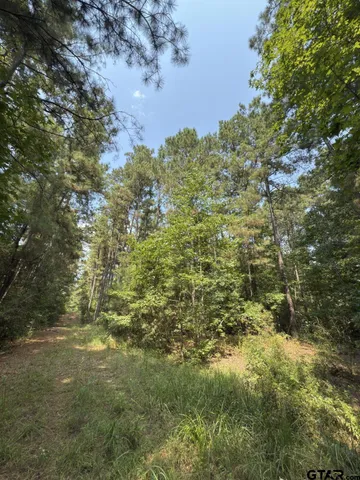 a view of outdoor space and trees