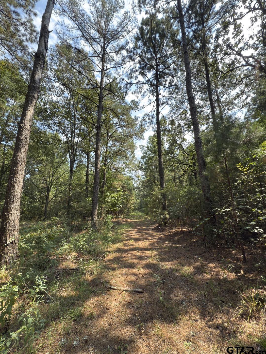 283 County Road 283 Garrison, TX 75946 - Photo 25 of 34 a view of outdoor space and trees