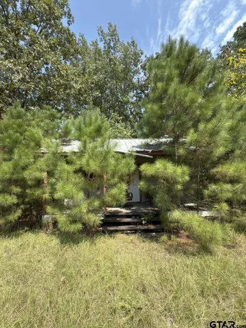 a view of outdoor space and yard