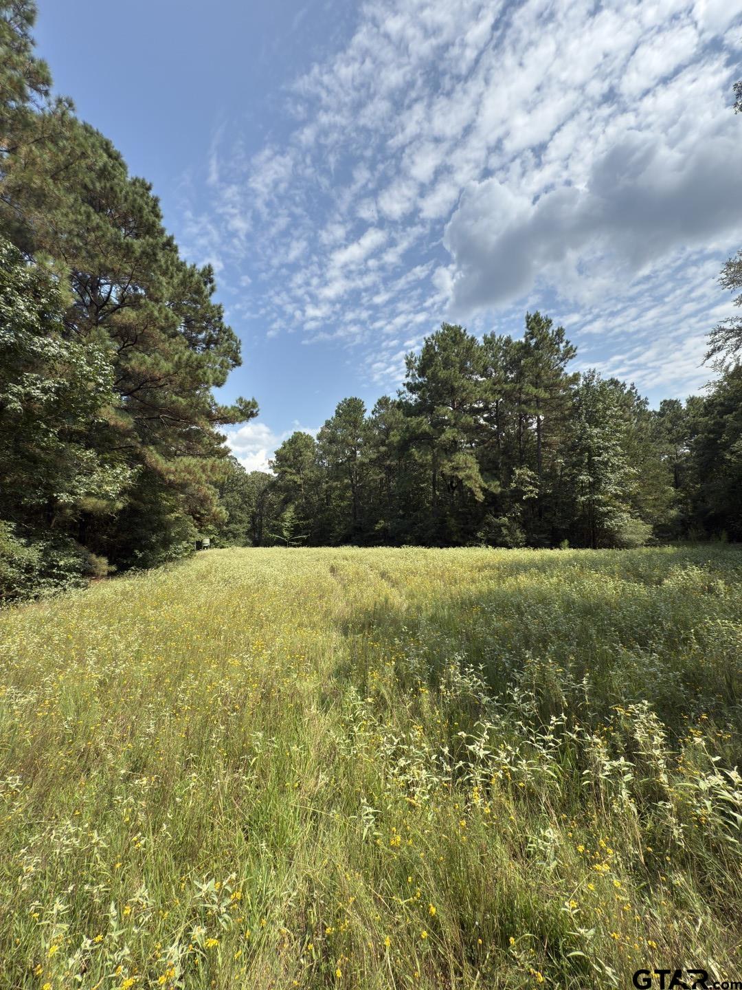 283 County Road 283 Garrison, TX 75946 - Photo 28 of 34 a view of outdoor space and yard