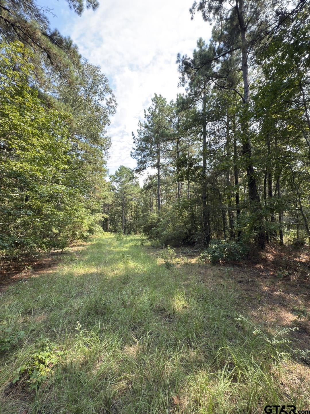 283 County Road 283 Garrison, TX 75946 - Photo 30 of 34 a view of outdoor space with trees all around