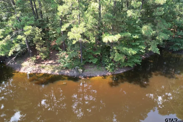 a view of lake with green space