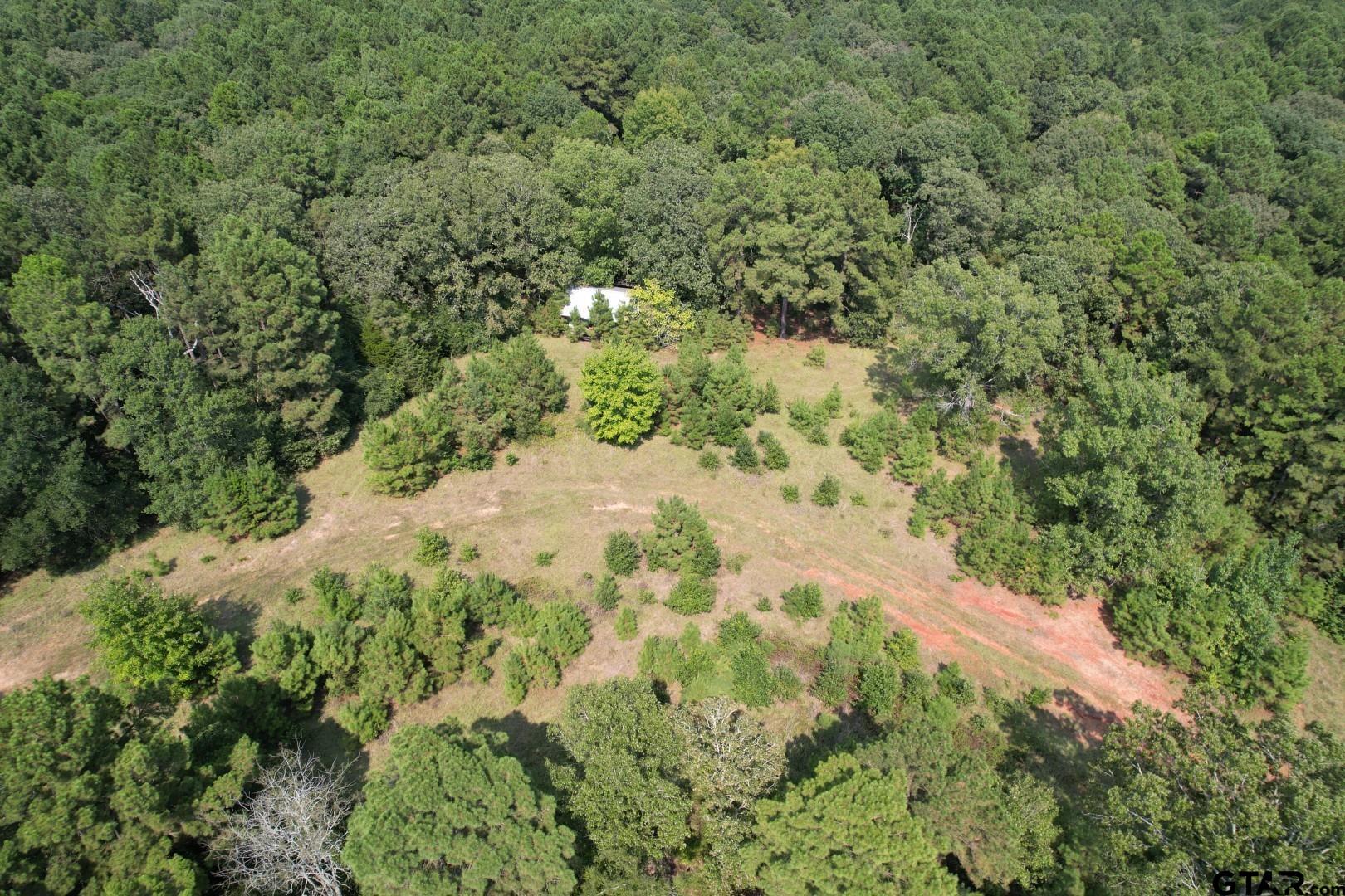 283 County Road 283 Garrison, TX 75946 - Photo 5 of 34 a view of a yard with plants and tree