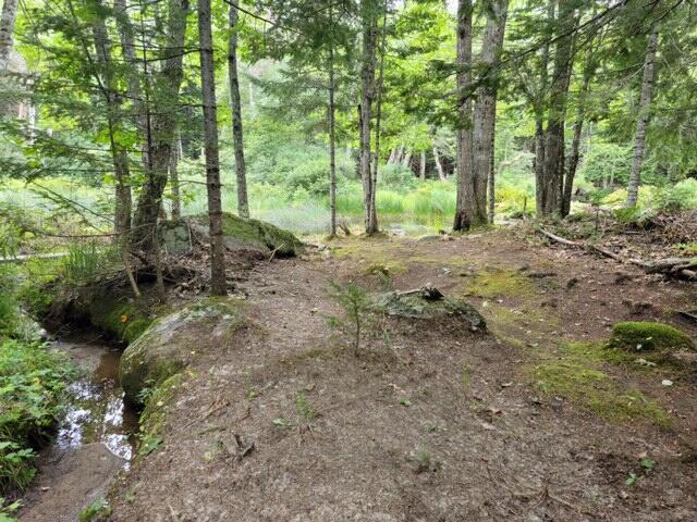 754 Blacks Woods Road Cherryfield, ME 04622 - Photo 53 of 60 thumb_20210819_142709_1024