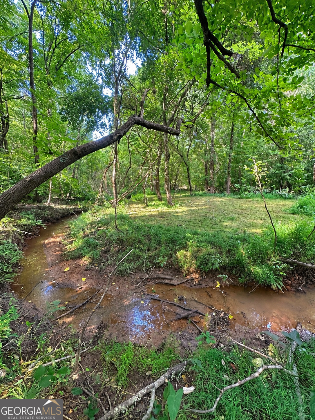 0 Jordan Road, Unit 17 79 ACRES Monticello, GA 31064 - Photo 19 of 38 Gallery Image 19
