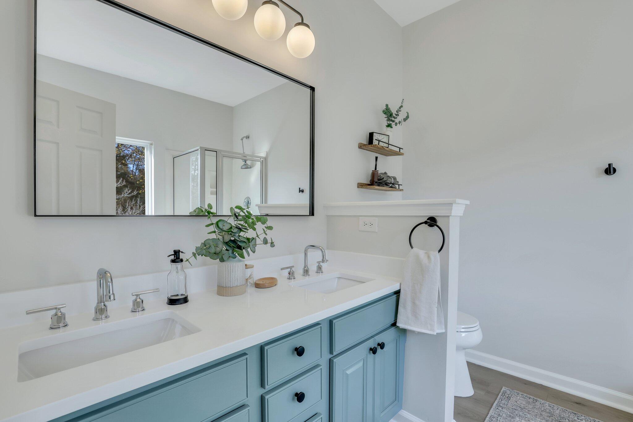 3113 Cold Harbor Way Charleston, SC 29414 - Photo 16 of 24 Primary Bath