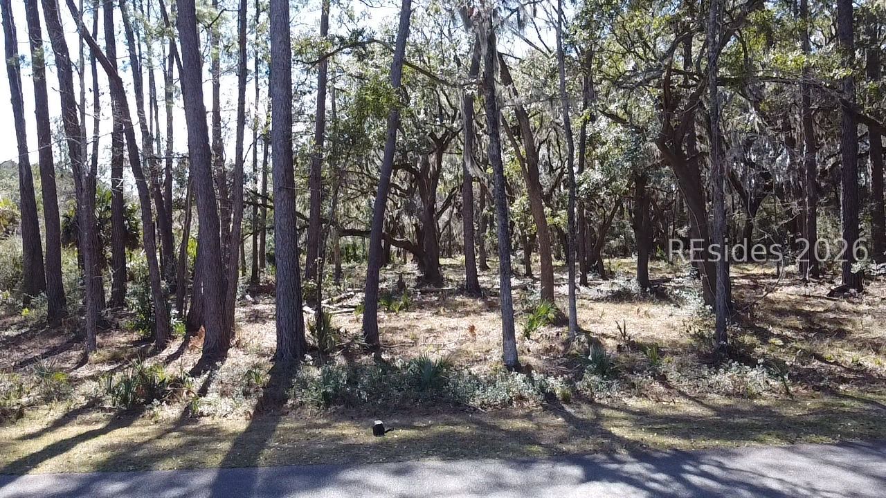 Broadview Drive Ridgeland, SC 29936 - Photo 4 of 10