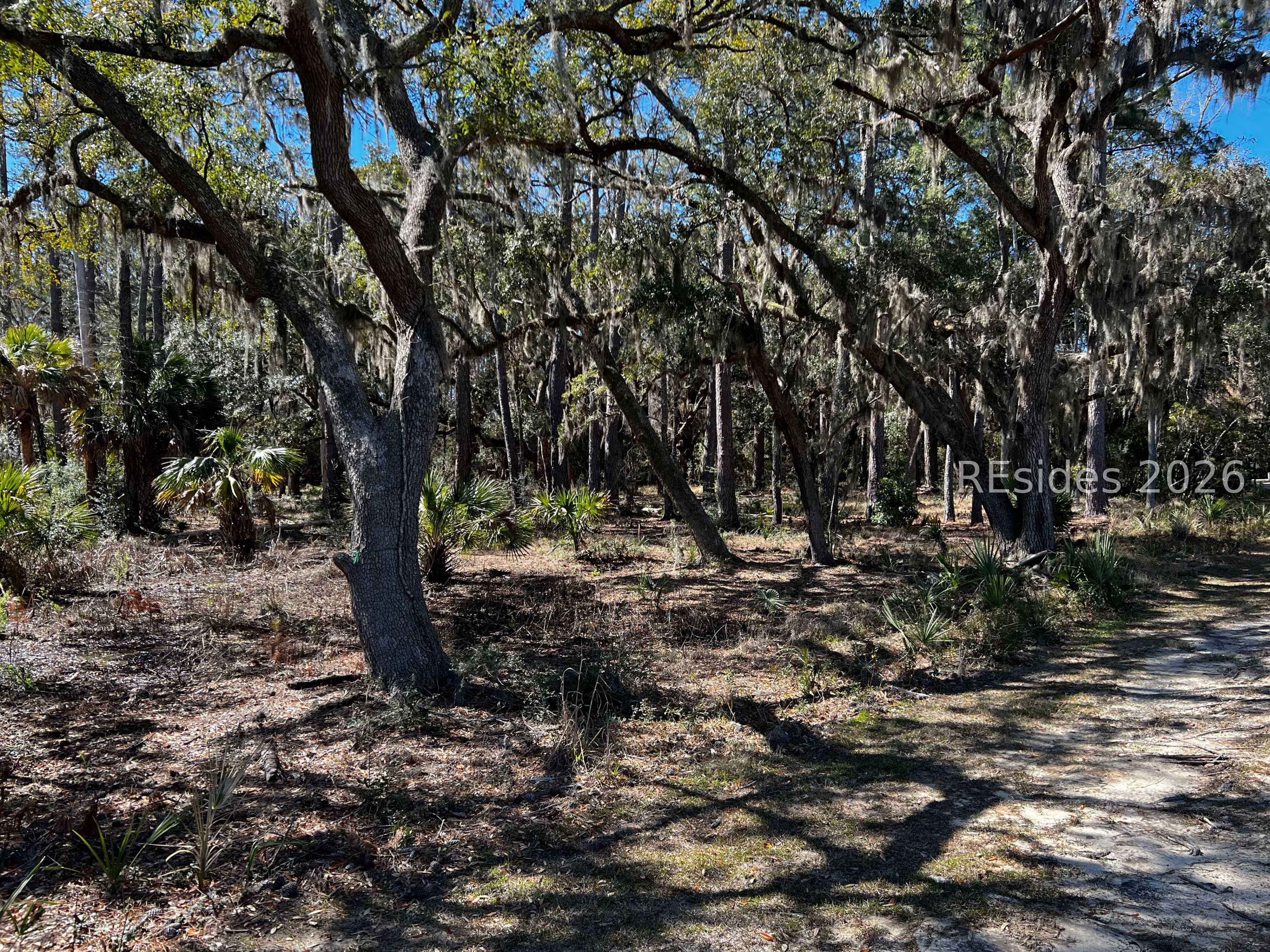 Broadview Drive Ridgeland, SC 29936 - Photo 5 of 10