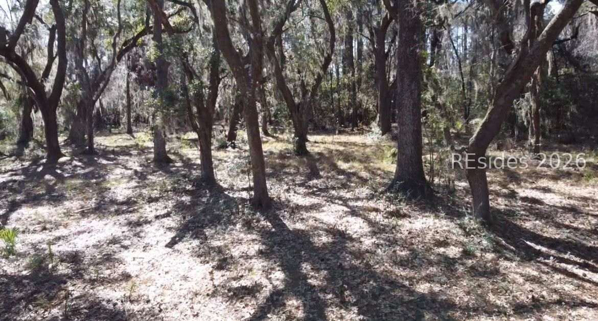 Broadview Drive Ridgeland, SC 29936 - Photo 6 of 10