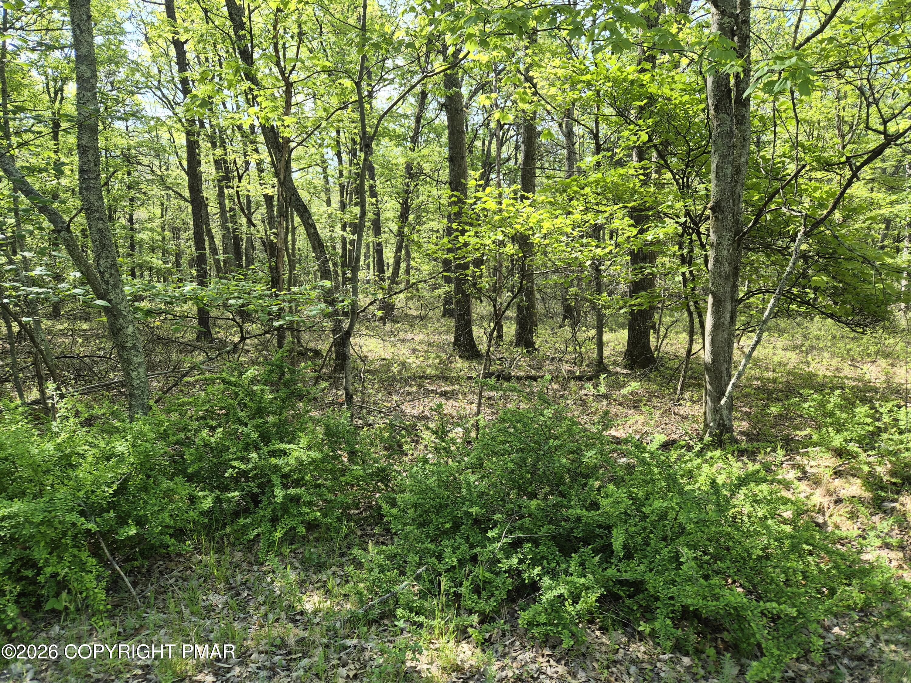Seese Hill Road Canadensis, PA 18325 - Photo 6 of 6 Lot 7 Lower Seese Hill Road