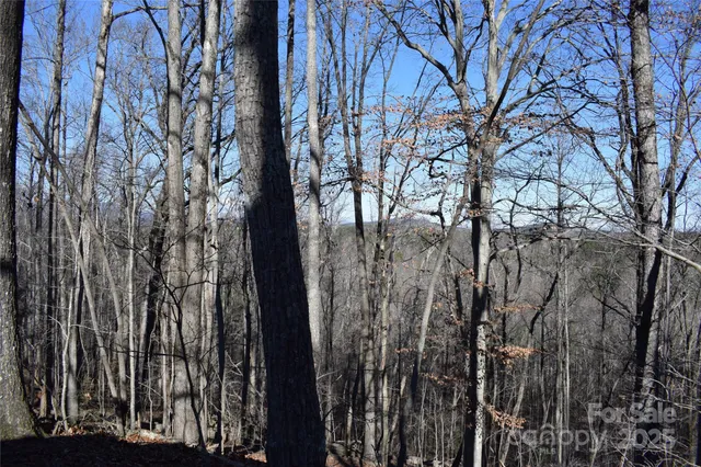 $650,000 | 228 Wildwood Lane, Columbus, NC 28722