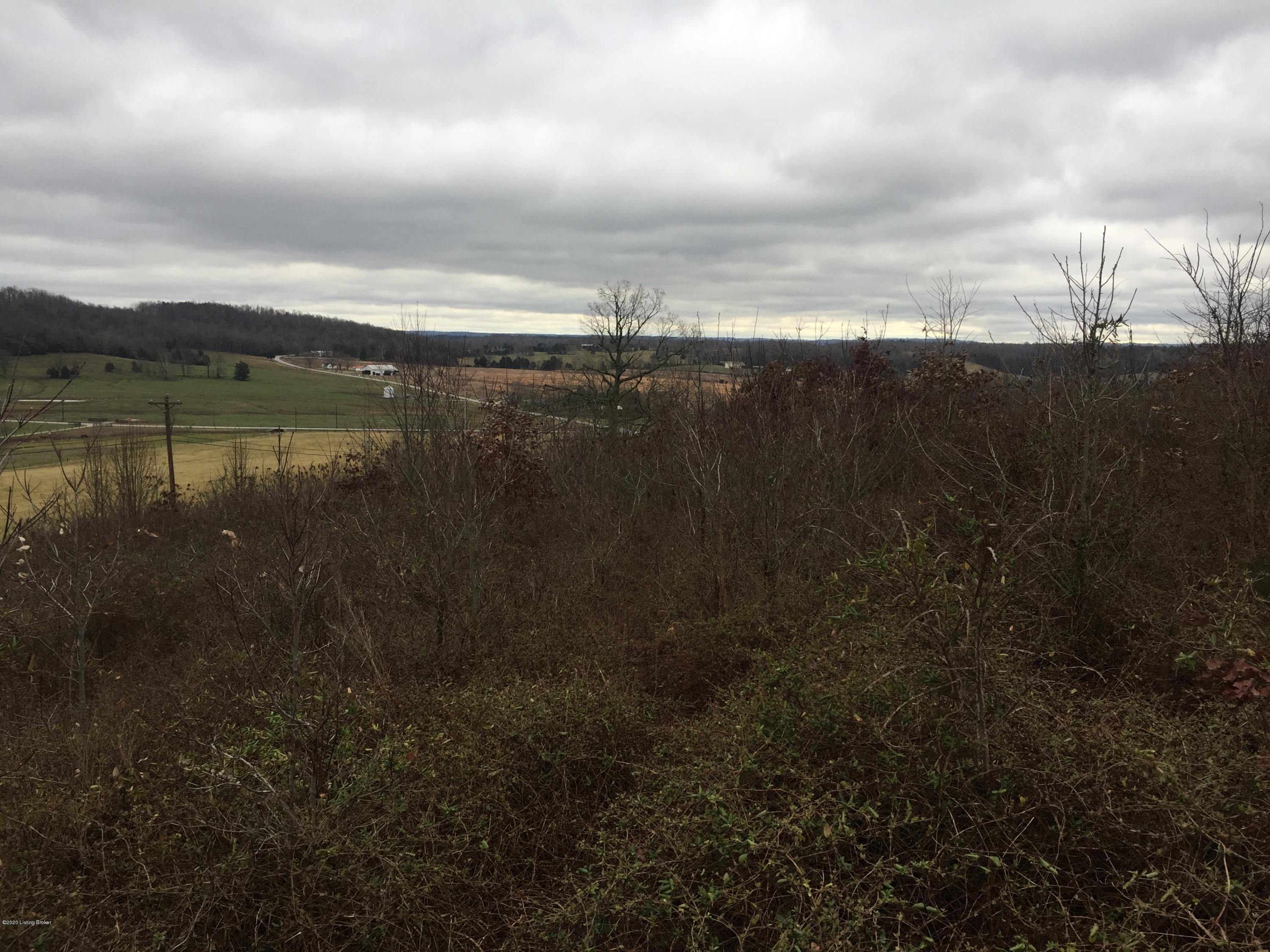 12601 Grayson Springs Road Clarkson, KY 42726 - Photo 20 of 31 Snap RD 19