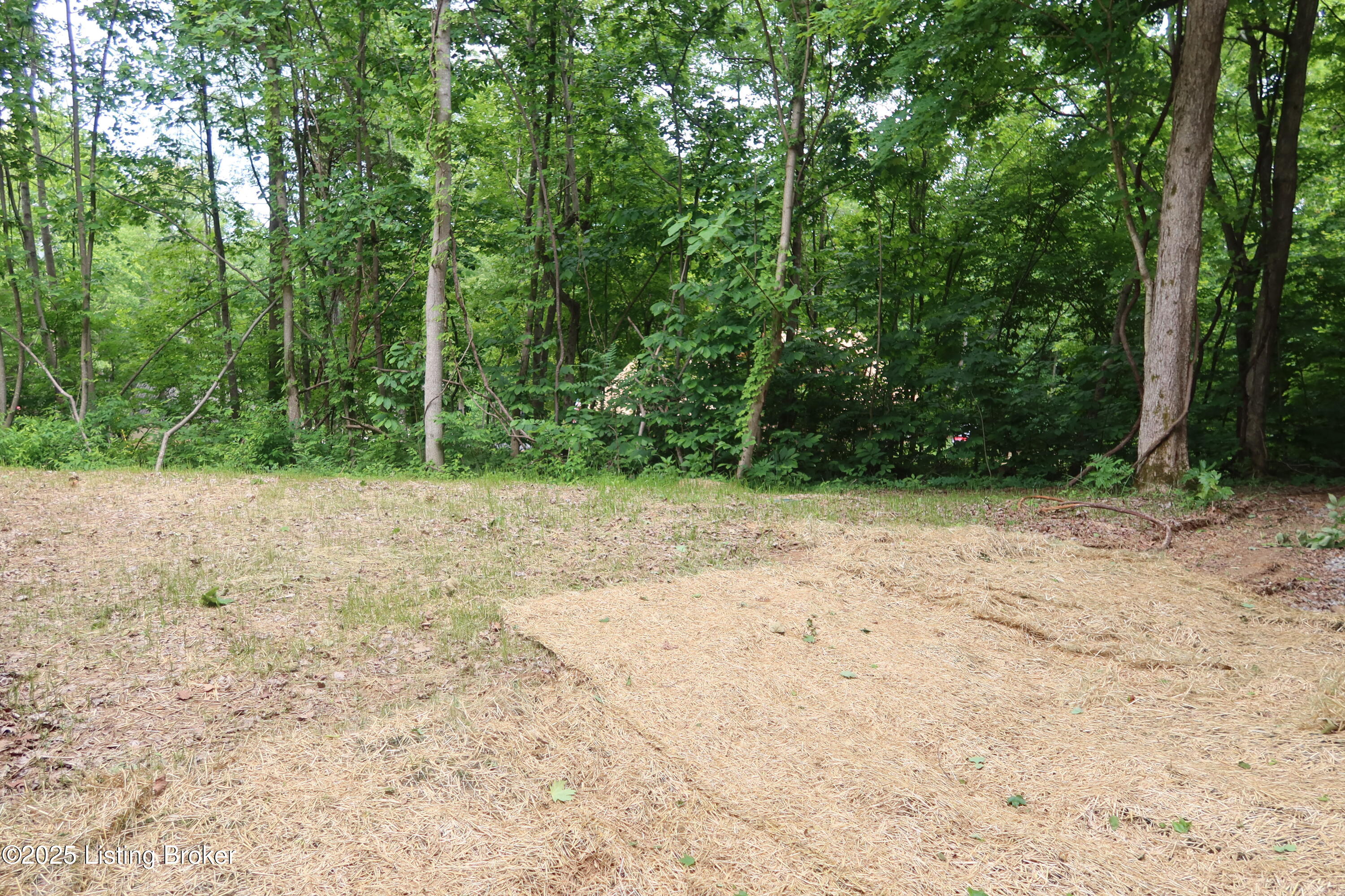 255 Little Cabin Lane Falls Of Rough, KY 40119 - Photo 11 of 52 2025-05-26 02.36.06