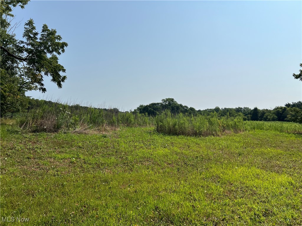Vl Shaw Road Spencer, OH 44275 - Photo 18 of 28 View of nature featuring a rural view