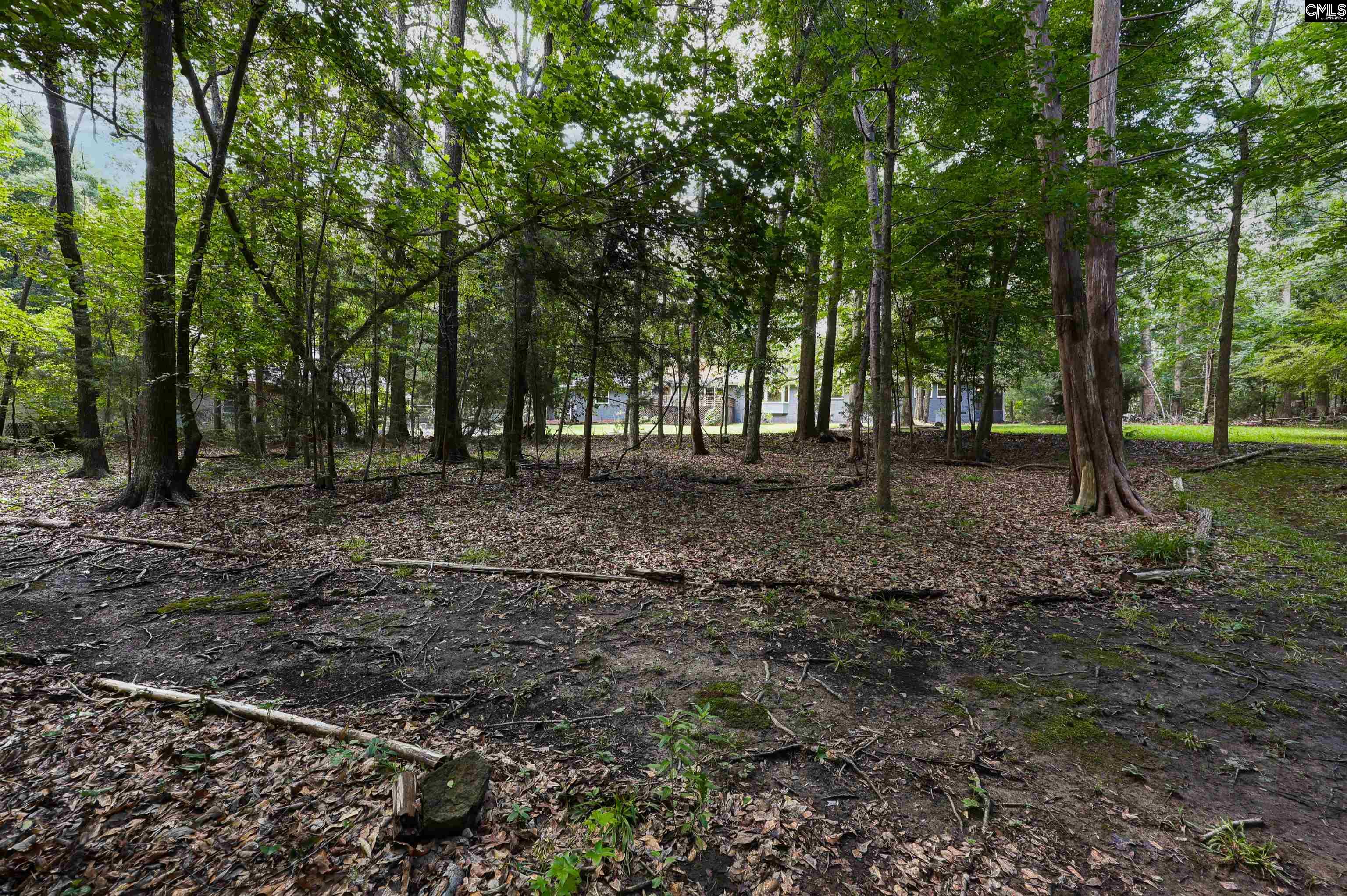 412 Murray Lindler Road Chapin, SC 29036 - Photo 41 of 47