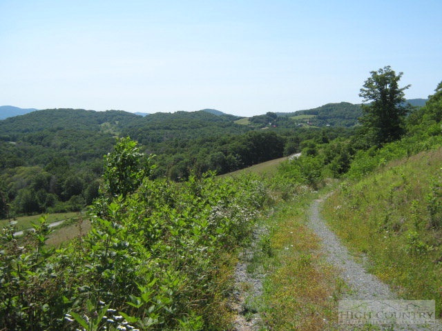 1 Andy Hicks Road Banner Elk, NC 28604 - Photo 3 of 4 a view of a lush green space with sea