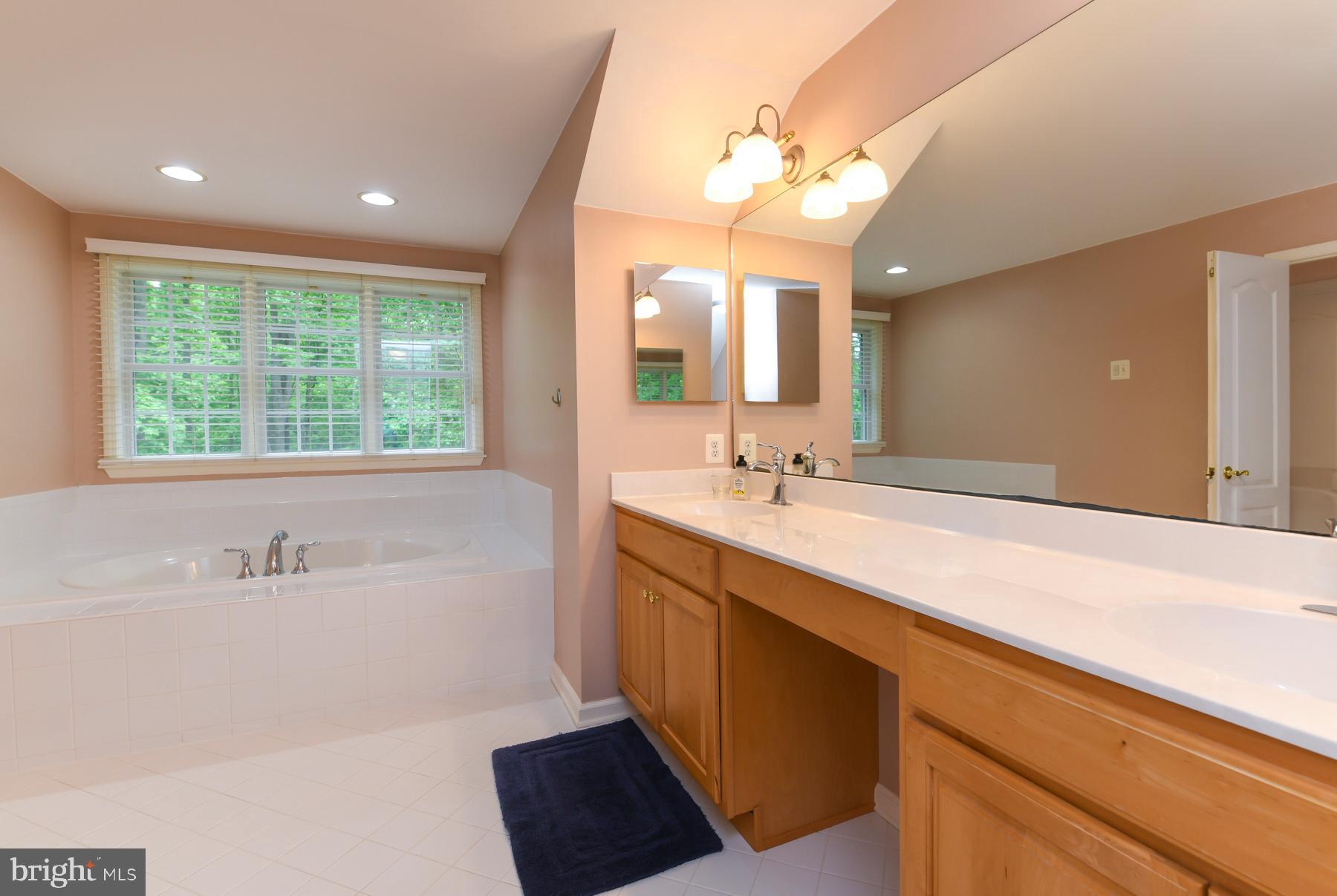 31 Millwood Drive Mickleton, NJ 08056 - Photo 42 of 62 a spacious bathroom with a large tub sink and mirror
