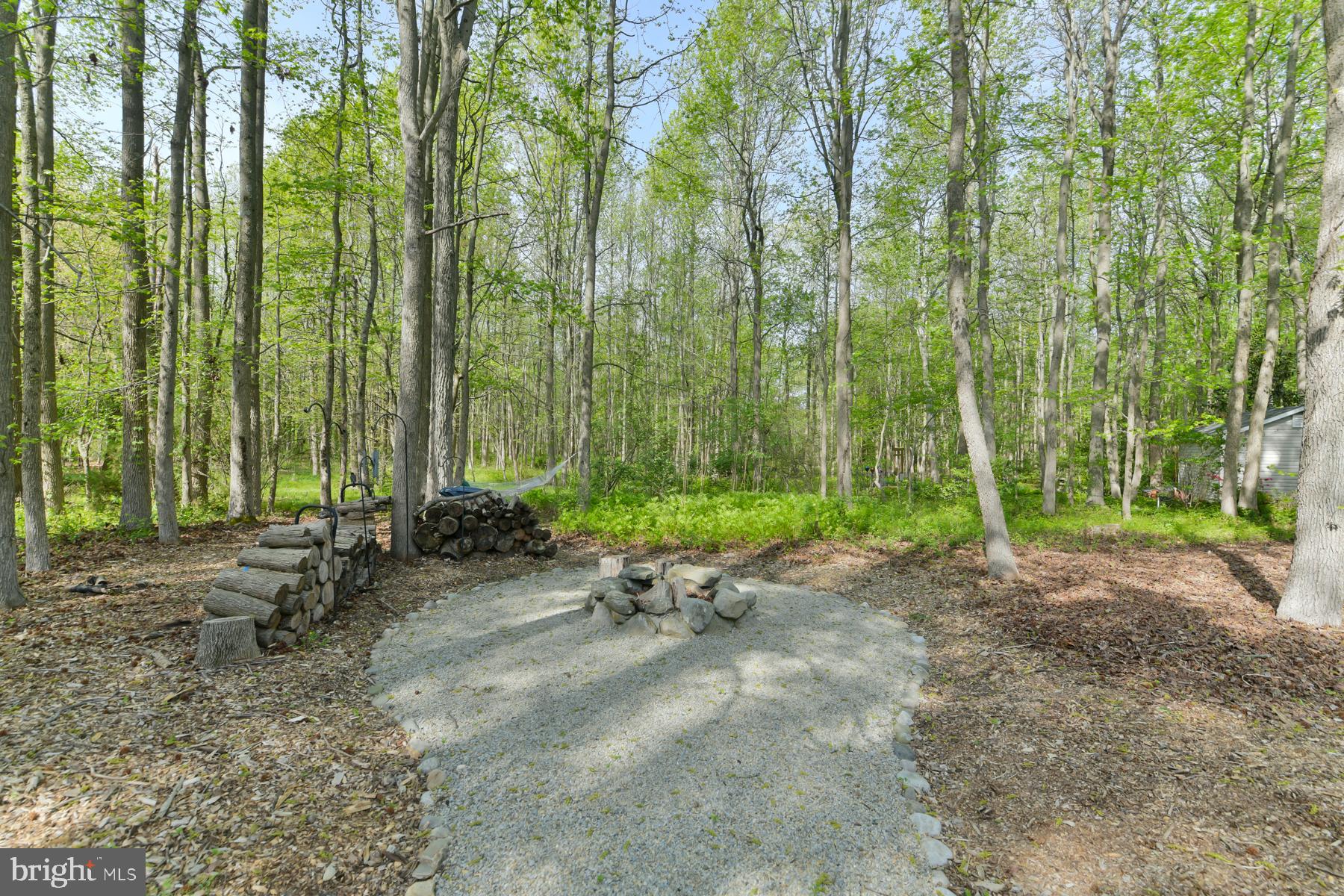 31 Millwood Drive Mickleton, NJ 08056 - Photo 57 of 62 a view of a backyard with plants and trees