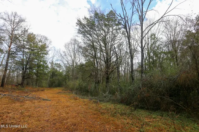 $235,750 | Learned Road, Raymond, MS 39154