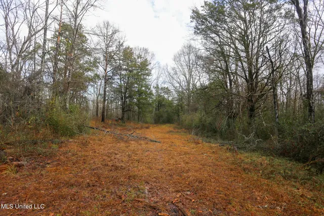 $235,750 | Learned Road, Raymond, MS 39154