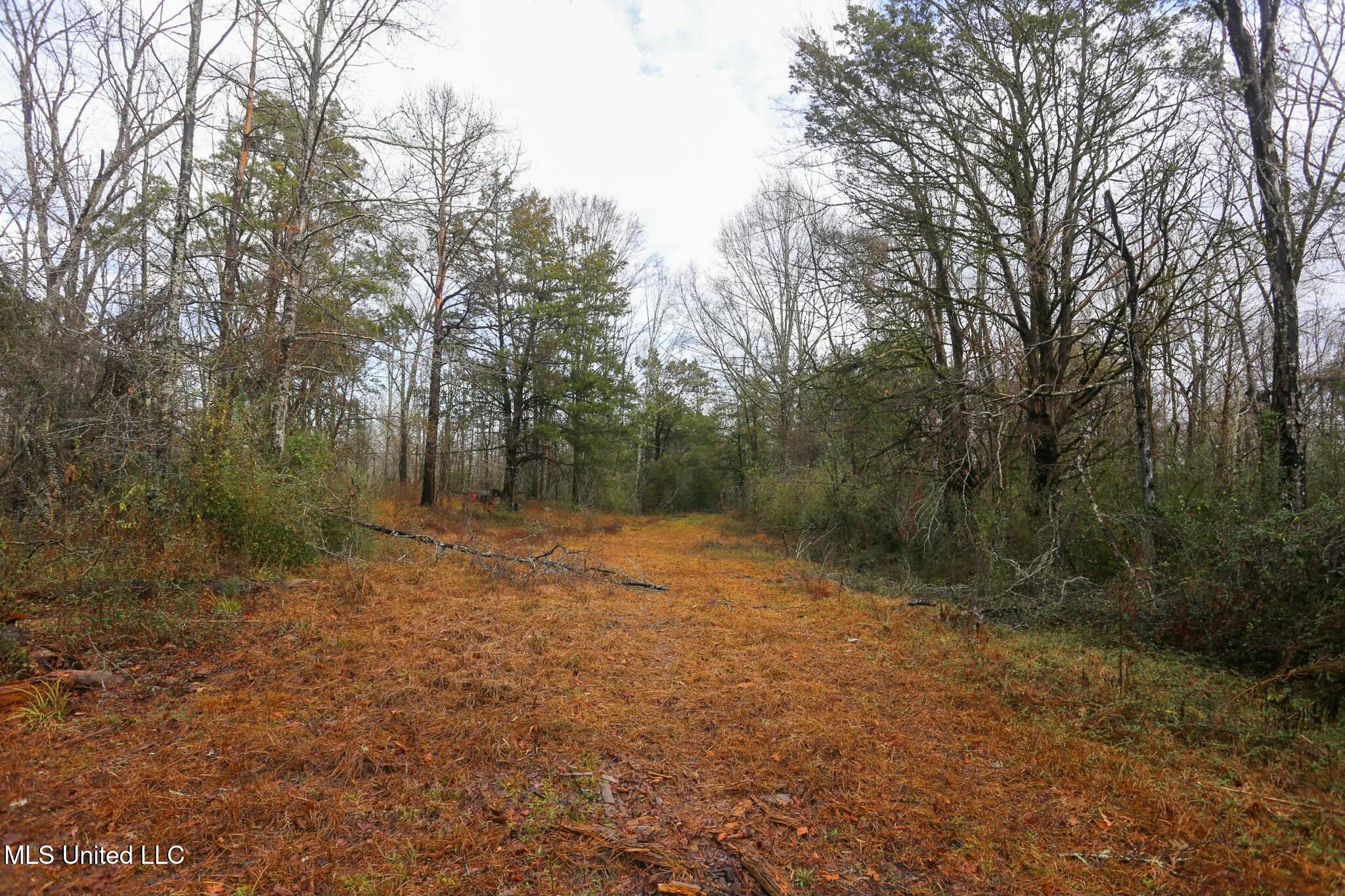 Learned Road Raymond, MS 39154 - Photo 12 of 20 tempImagee6jJvr