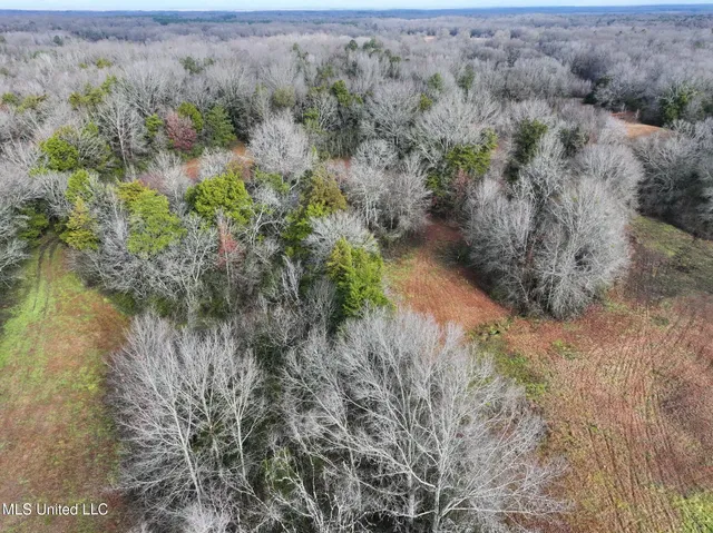 $235,750 | Learned Road, Raymond, MS 39154
