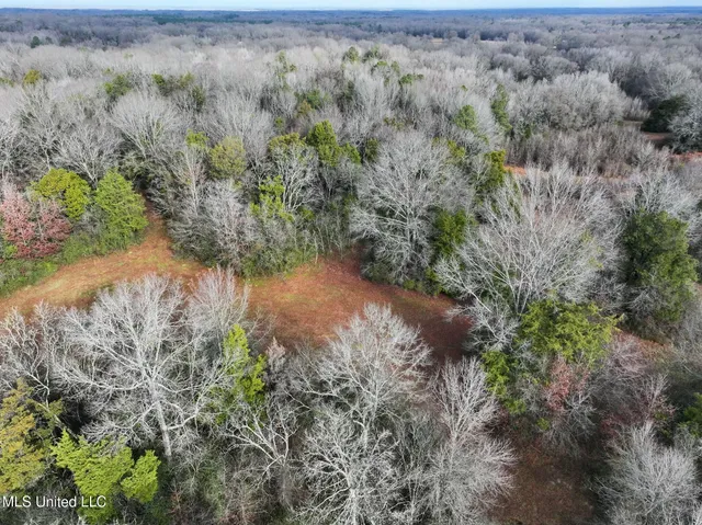 $235,750 | Learned Road, Raymond, MS 39154