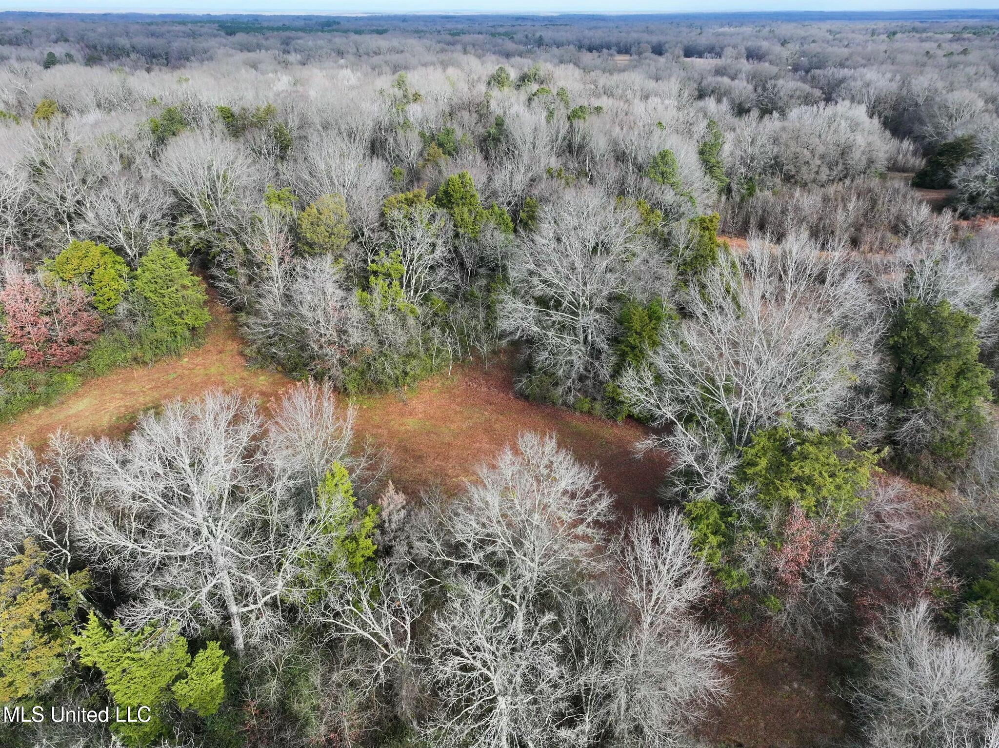 Learned Road Raymond, MS 39154 - Photo 15 of 20 tempImageWKHWPm