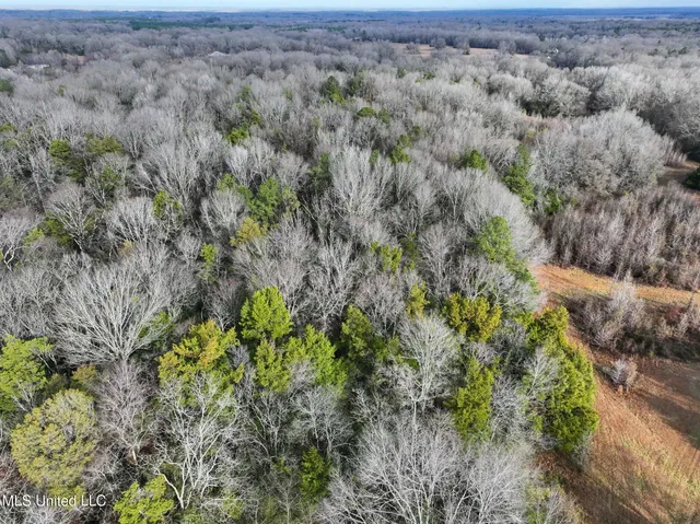 $235,750 | Learned Road, Raymond, MS 39154