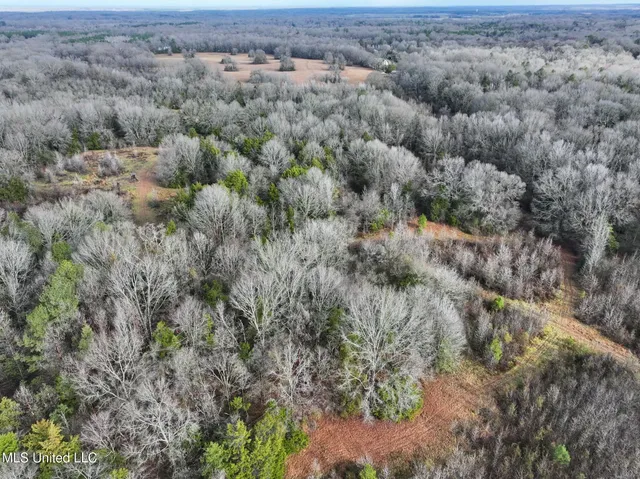 $235,750 | Learned Road, Raymond, MS 39154