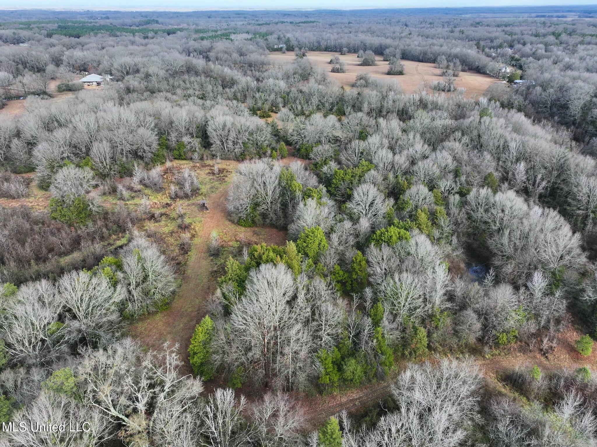 Learned Road Raymond, MS 39154 - Photo 19 of 20 tempImageZE8PVm