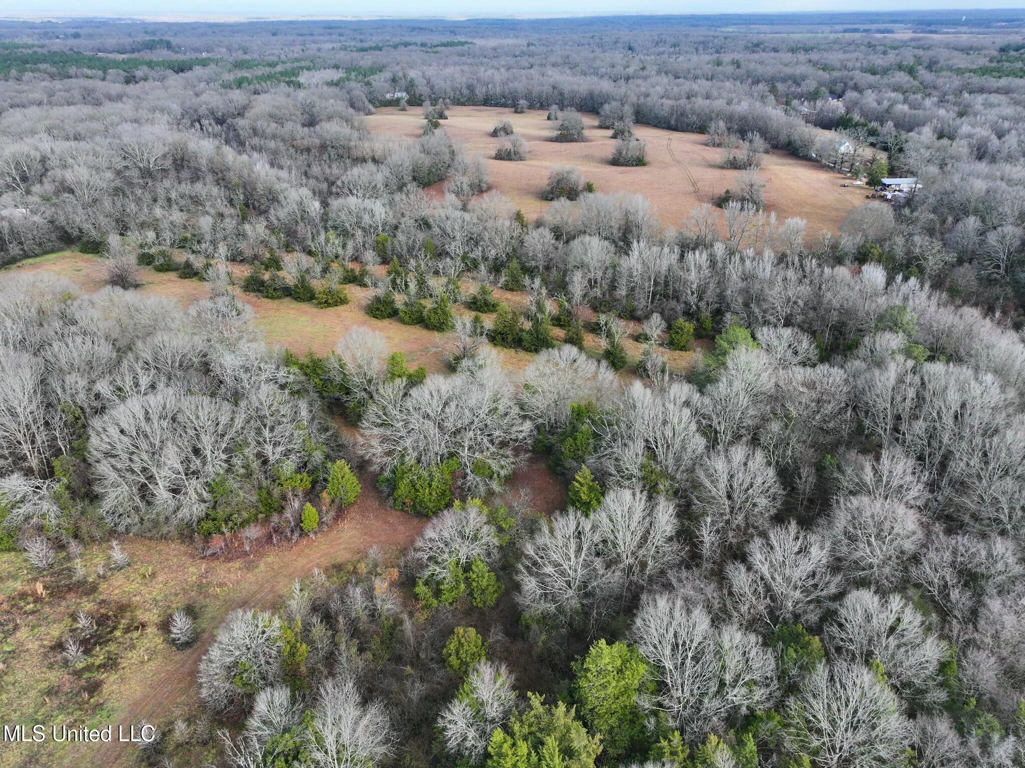 Learned Road Raymond, MS 39154 - Photo 20 of 20 tempImage9Mu1nz