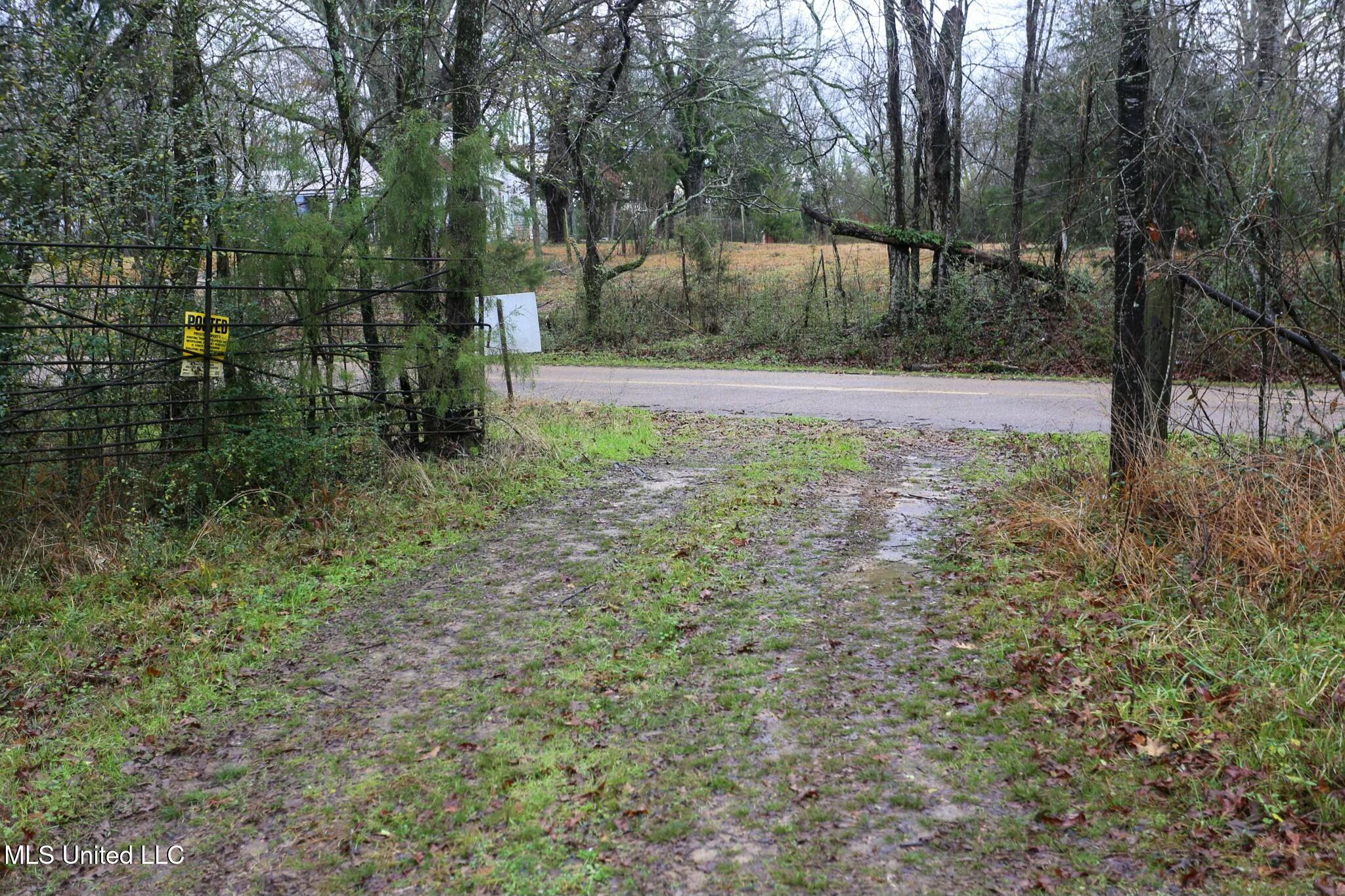 Learned Road Raymond, MS 39154 - Photo 2 of 20 tempImage1PAbqr