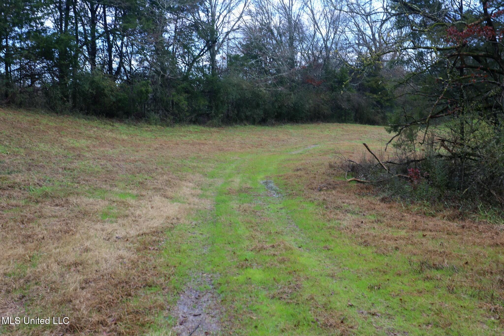 Learned Road Raymond, MS 39154 - Photo 3 of 20 tempImagepYWdUq